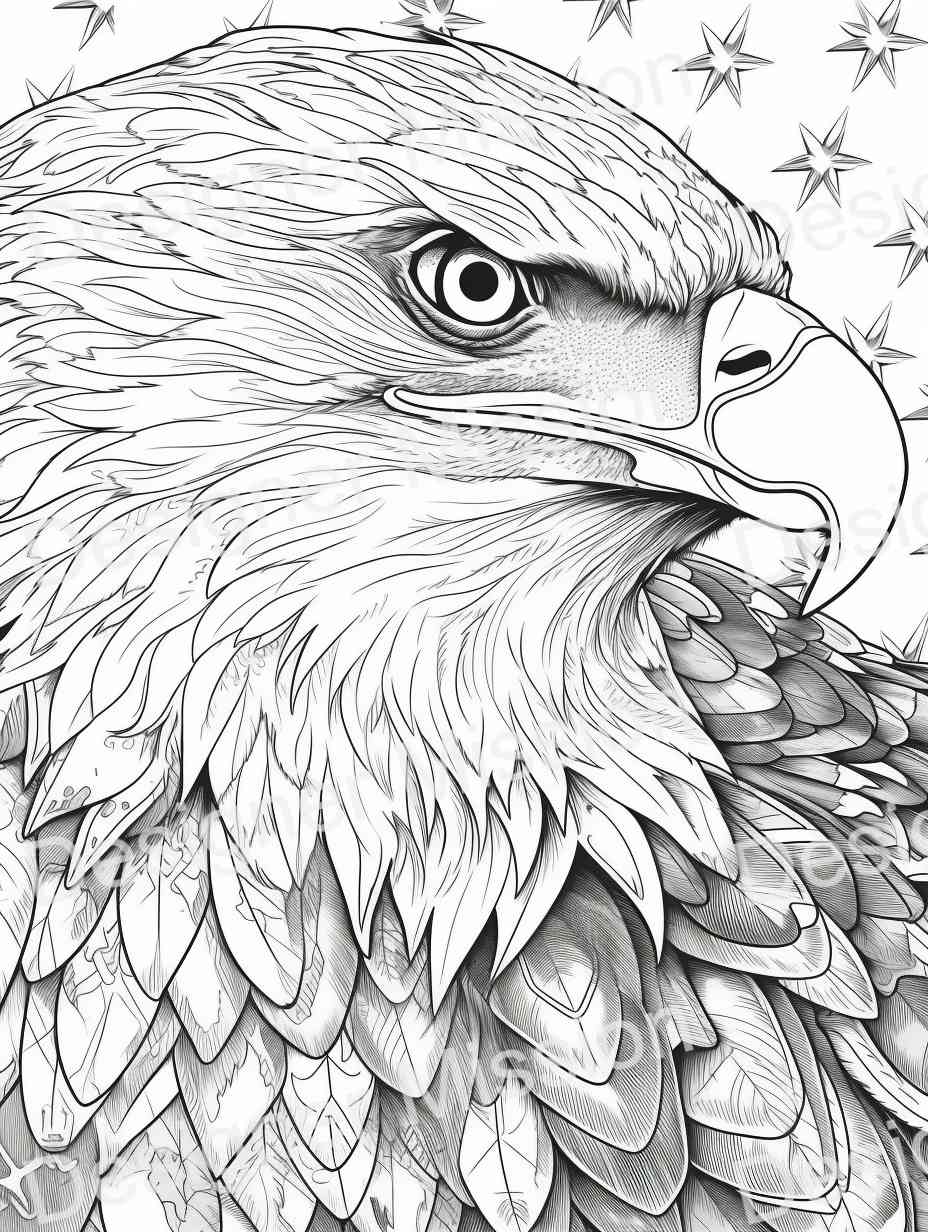 4th of july Eagle Coloring Page For Adults - 48521